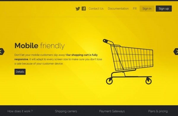 Shopping Cart Website